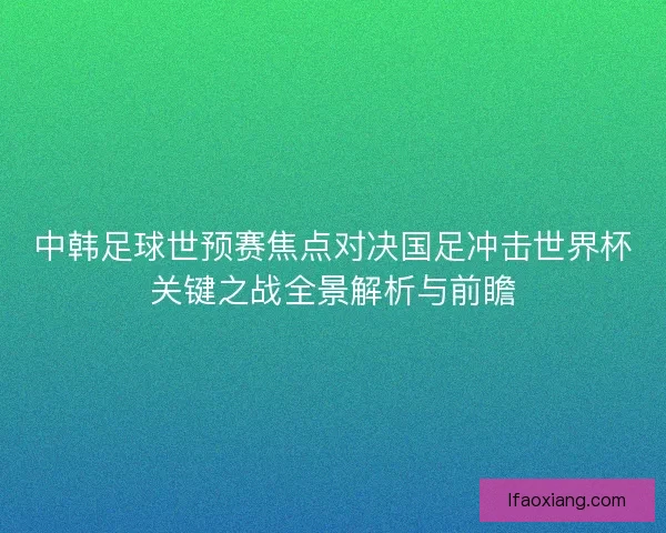 中韩足球世预赛焦点对决国足冲击世界杯关键之战全景解析与前瞻