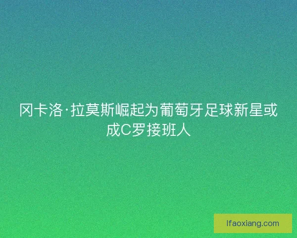 冈卡洛·拉莫斯崛起为葡萄牙足球新星或成C罗接班人